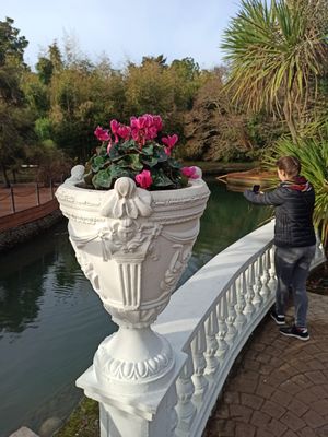 Южные культуры и Тисосамшитовая роща