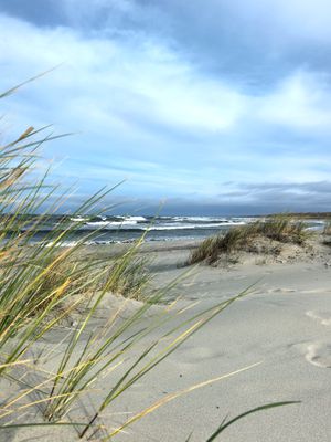 Активная неделя в Калининграде