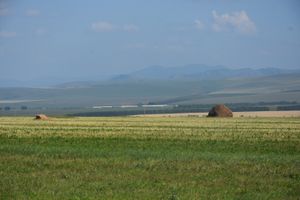 Отправляемся на Алтай