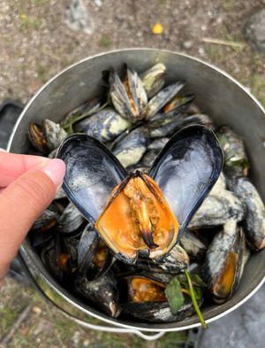 Долгая губа с дегустацией мидий