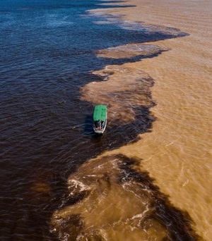 Амазония: слияние рек, крокодилы и пираньи