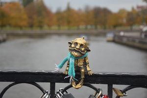 Знакомство с Калининградом