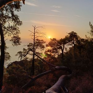 Йога-тур: Энергия пяти стихий