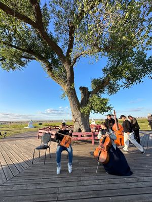 Встреча в аэропорту, Одинокий тополь и хурул