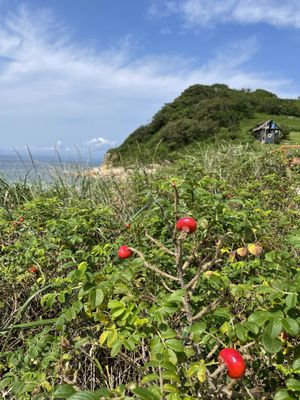 Самый Южный Остров России - Фуругельма