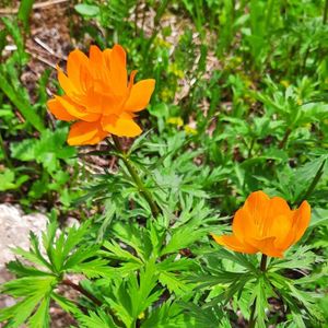 Возвращение в г. Абакан