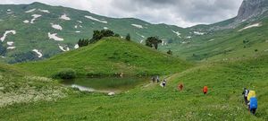 Идем в приют Фишт