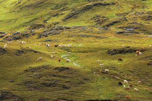 Высокогорье Перу