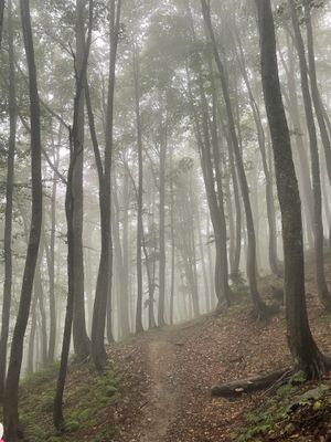 Вперед к морю