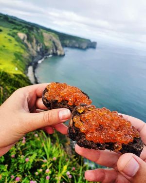 Вылет домой