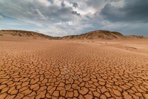Гора Богдо - Богдинско-Баскунчакский заповедник