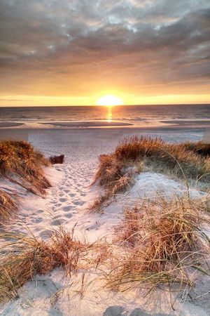 День стихии Земля