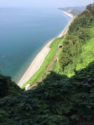 Зелёный Батуми