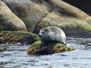 Чудеса Приморского края: острова и ларги