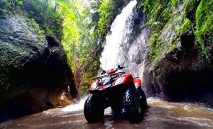 Action Vacation В Убуде