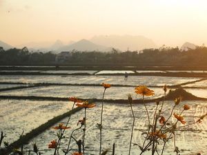 Парк Юрского периода и красивейшие пещеры мира