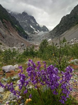 Батуми - Местия