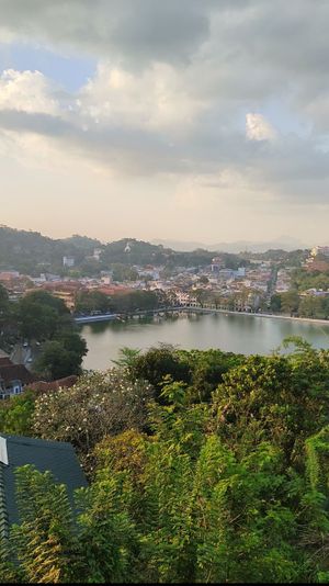 Великая реликвия и Королевский сад