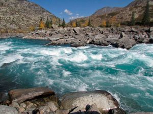 Последний аккорд Алтая