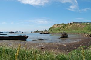 Залив Касатка и возвращение в Южно-Сахалинск