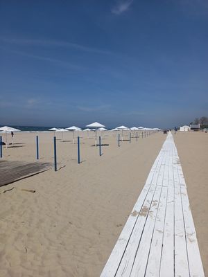 Места силы + Янтарный
