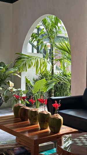 Перезагрузка у океана: Мальдивы, путешествие со смыслом и любовью к жизни