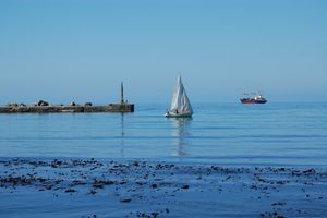 Залив Касатка и возвращение в Южно-Сахалинск