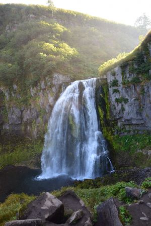 Дачные источники