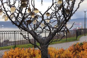 Обзорная экскурсия по Мурманску, вылет из Мурманск