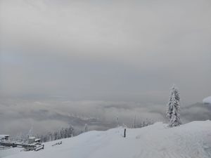 Лучшие горнолыжные курорты Алтая и Горной Шории за 7 дней