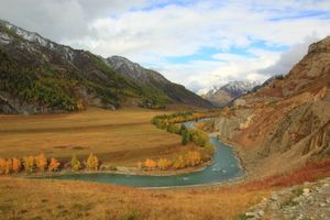 Последний аккорд Алтая