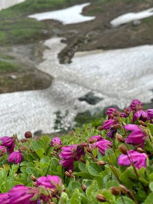 Малая долина гейзеров (Мутновская ГеоЭС)