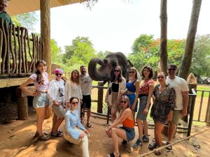 ЗНАКОМСТВО СО СЛОНАМИ. ПАМЯТНИК ЮНЕСКО