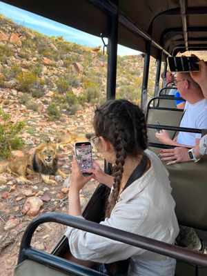 Заповедник, сафари и фотоохота
