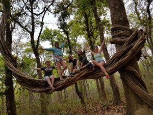 Национальный парк Читван