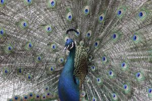 Дворец, прекрасный как Луна и Звёзды