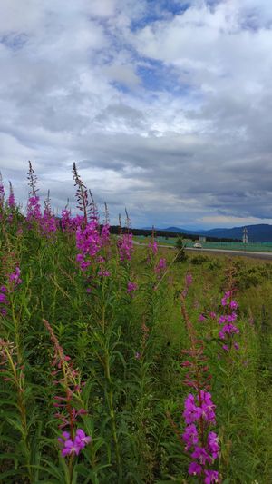 Река Катунь, Семинский перевал и дикие места