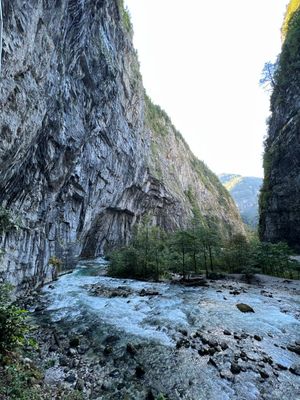 Озеро Рица, каньоны, самшитовый лес, дегустация