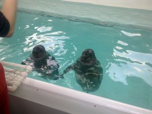 Знакомство с бытом и обычаями сибиряков