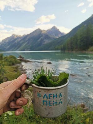 Белое Озеро Ак-Кем И Долина Ярлу 16 км переход
