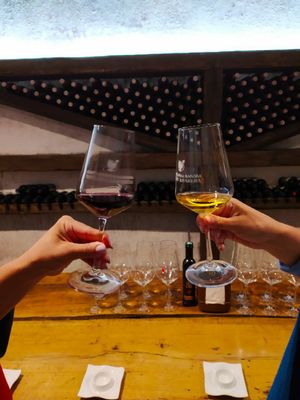 Гастро-винный тур в Кахетию