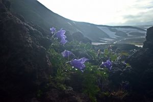 Сопка Звезда - Эссо