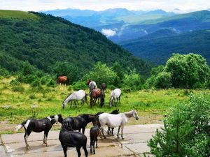 Горная Дигория. Национальный парк Алания