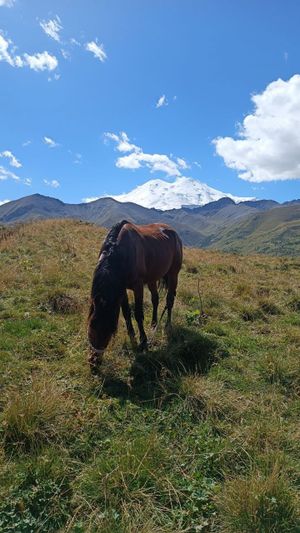 Встреча и медовые водопады