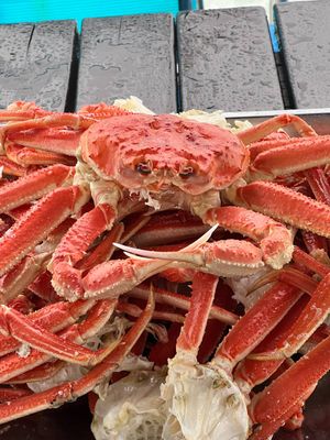 Рыбный рынок. Вылет