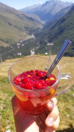 Отъезд домой