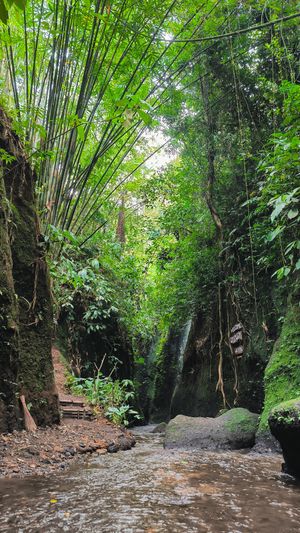 Немного отдыха (но не совсем!)