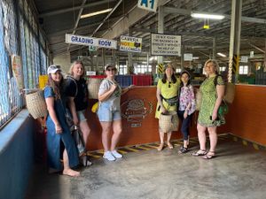 Чайные плантации и поездка на поезде