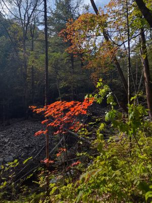 Тропа к водопадам