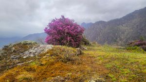 Продолжаем наслаждаться красотой